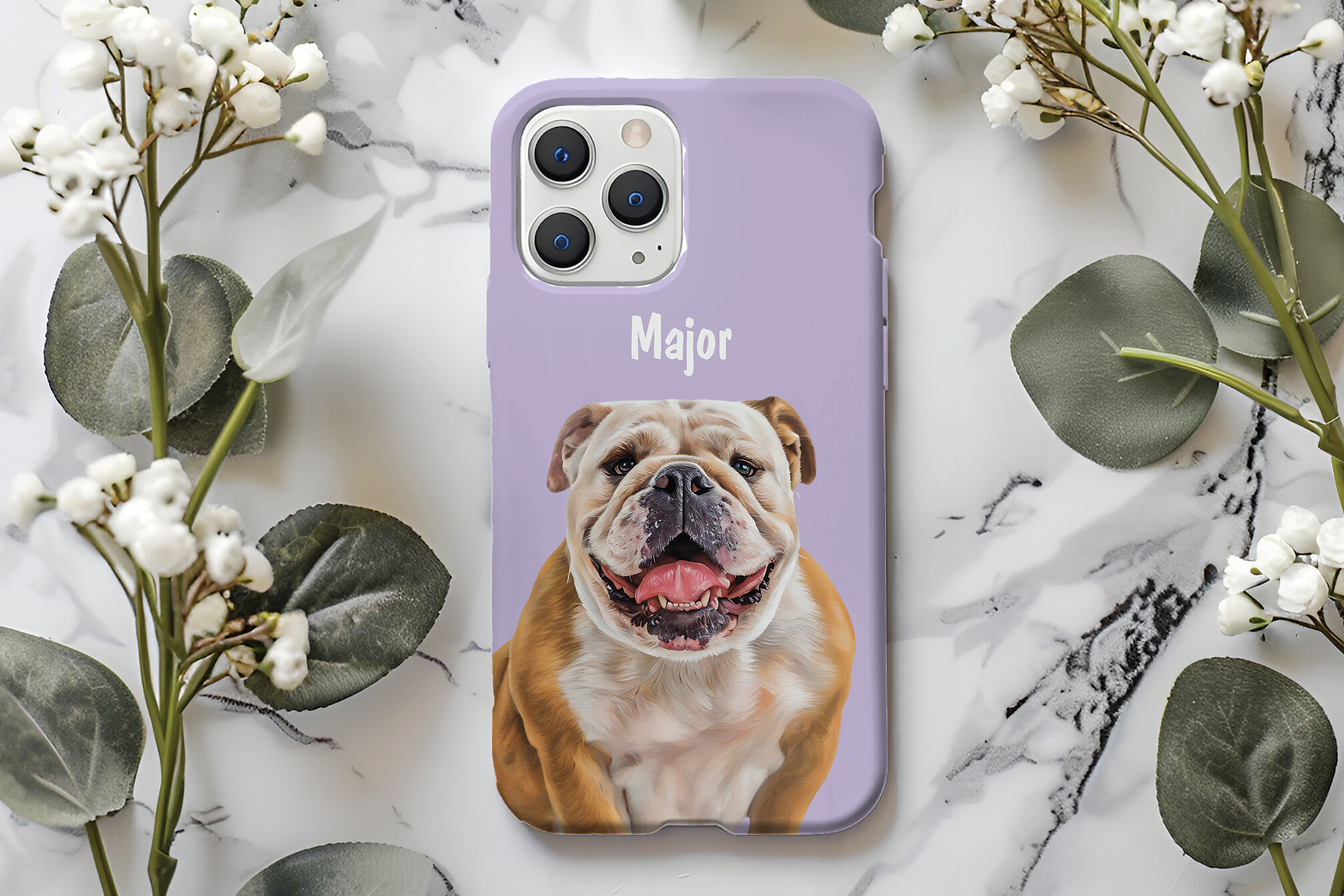 CLASSIC PHONE CASE - Paint and Tail