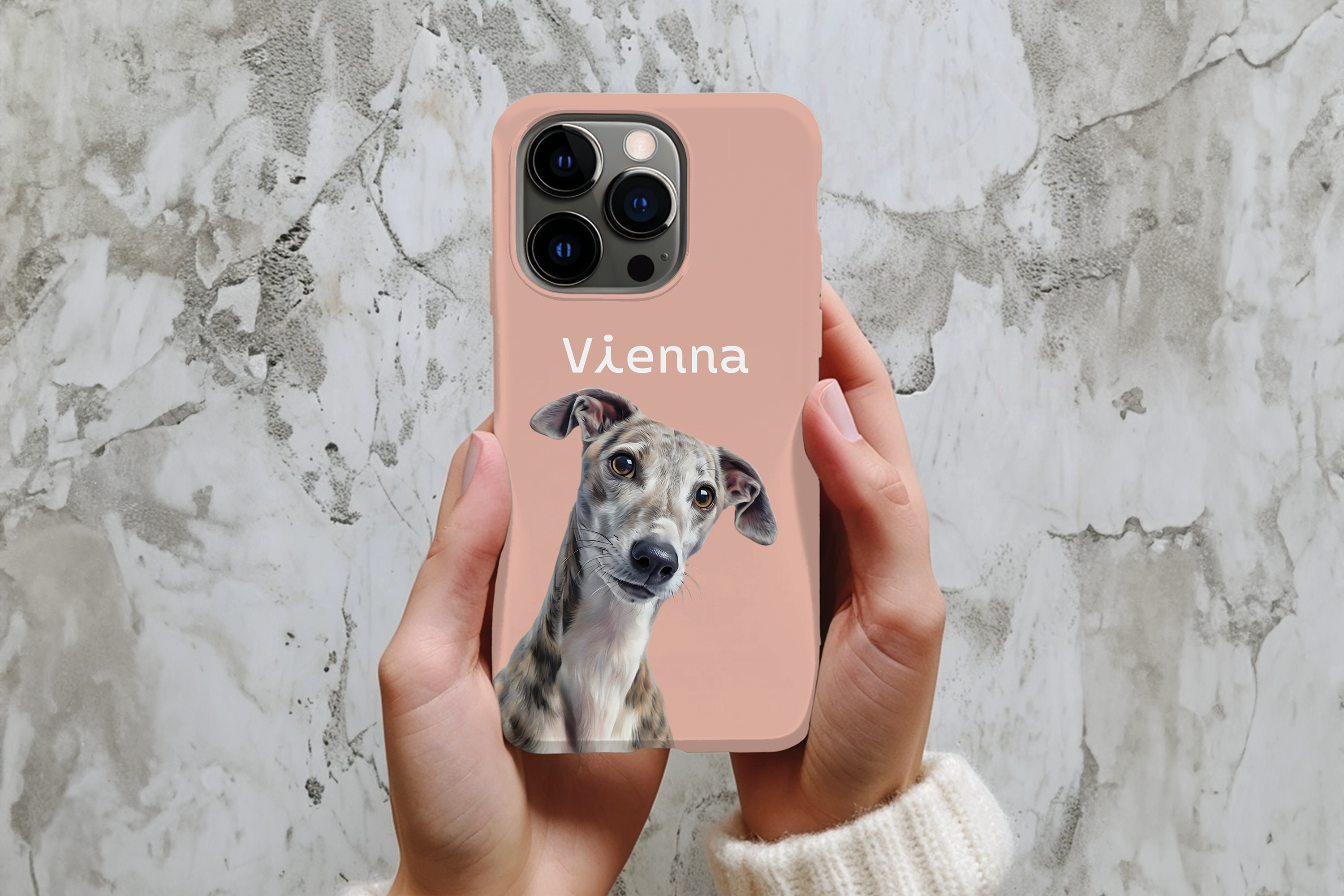 CLASSIC PHONE CASE - Paint and Tail