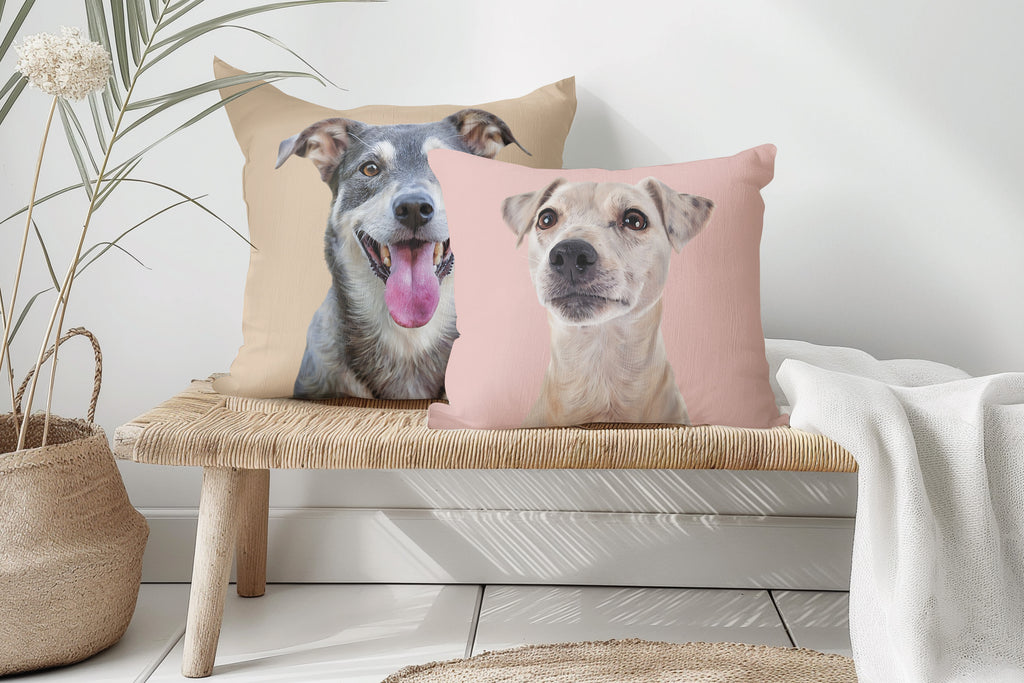 SUEDE CUSHION - Paint and Tail