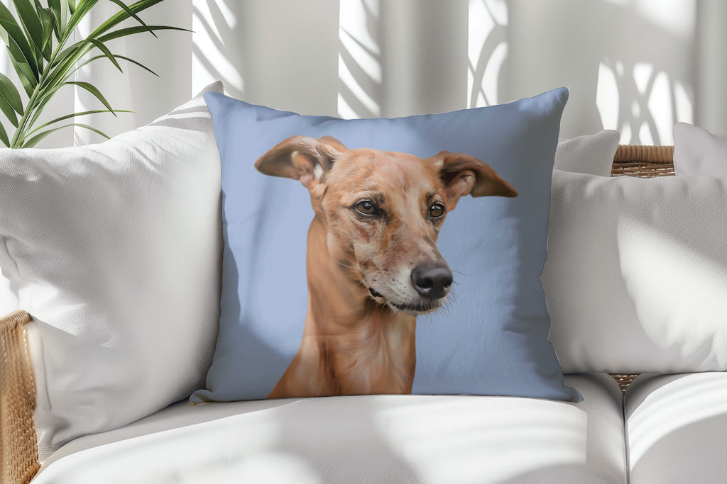 SUEDE CUSHION - Paint and Tail