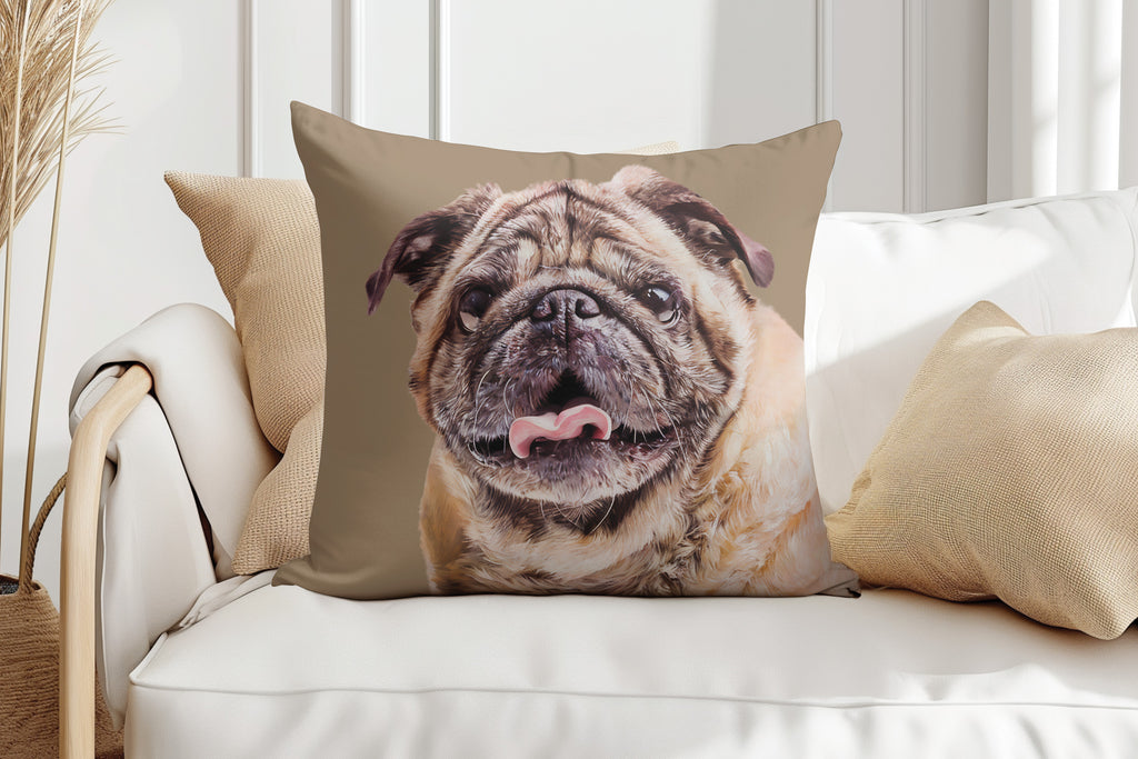 SUEDE CUSHION - Paint and Tail