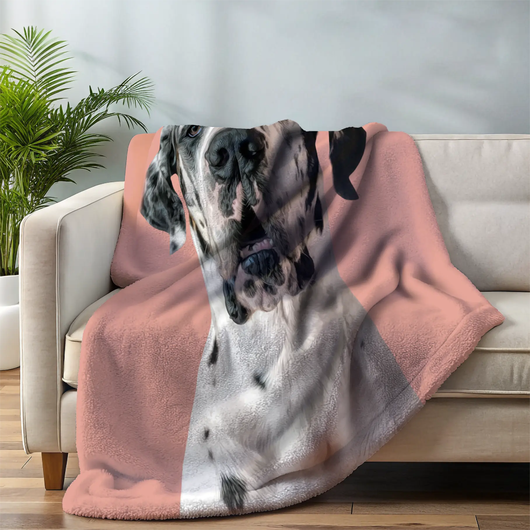 BLANKET Paint and Tail