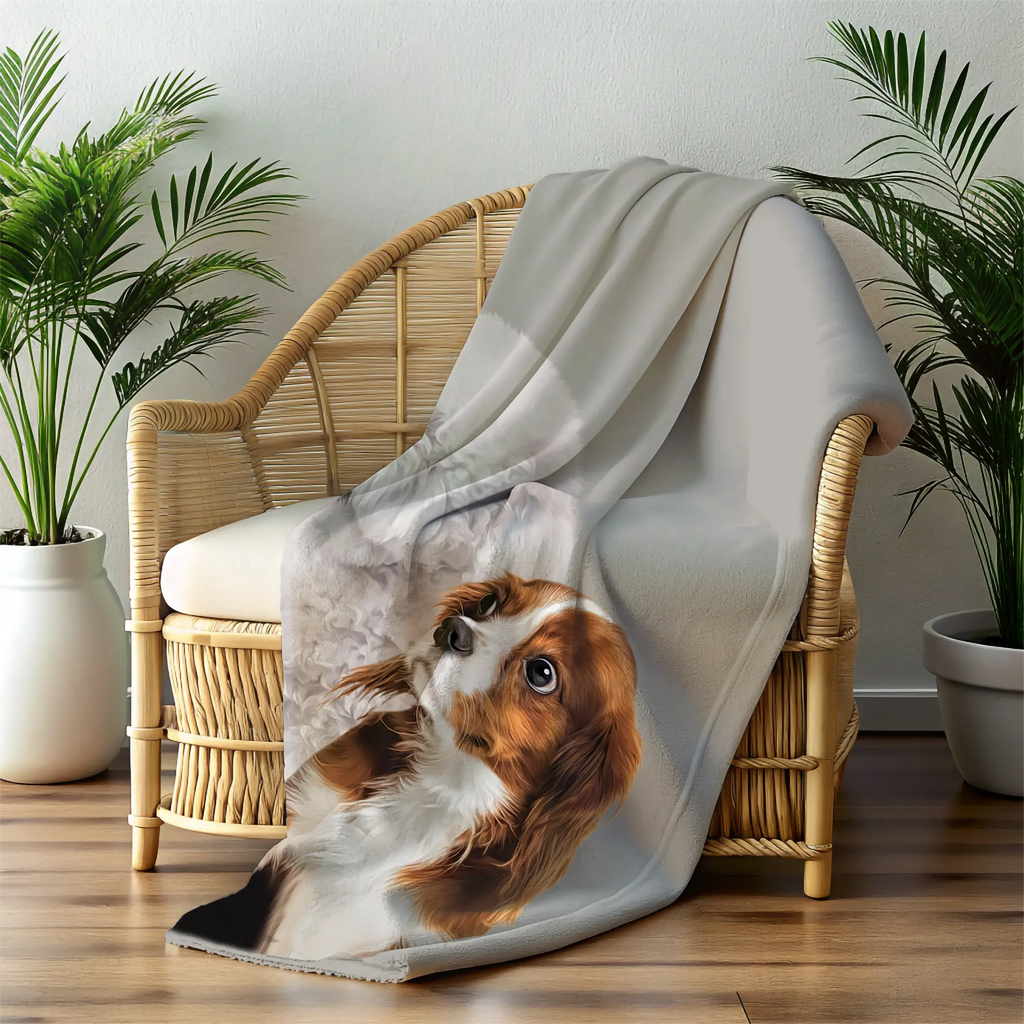 BLANKET Paint and Tail