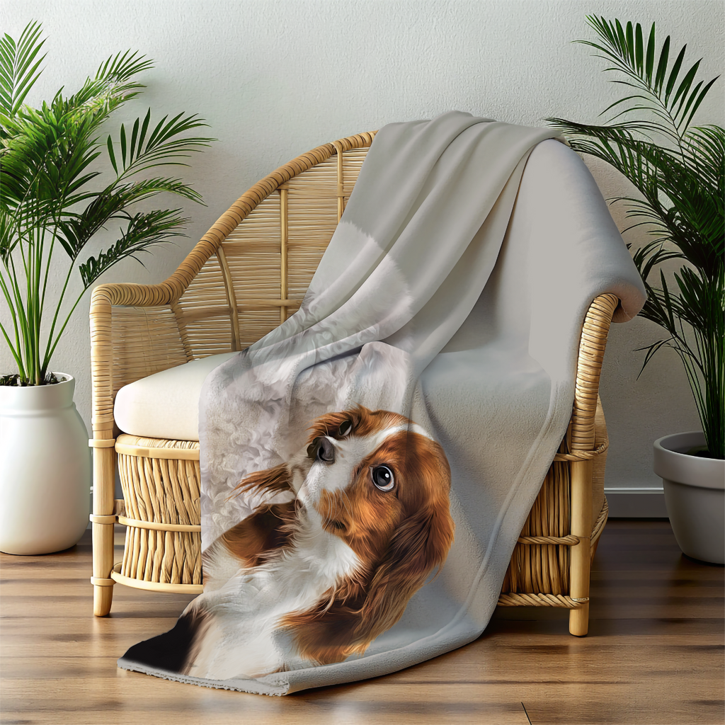 BLANKET