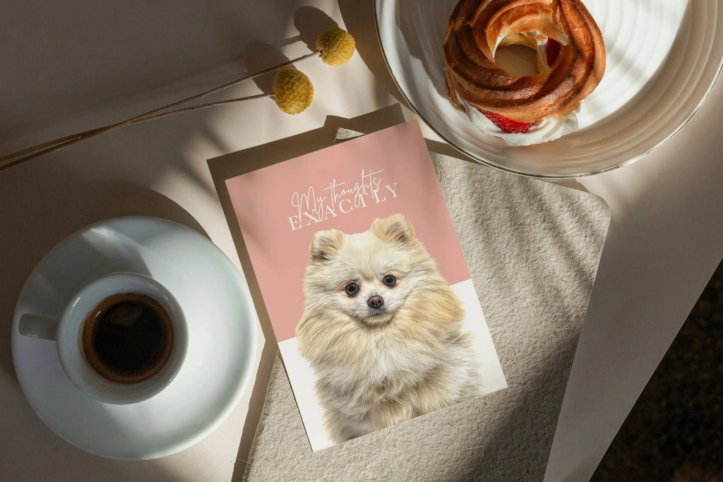 JOURNAL Paint and Tail