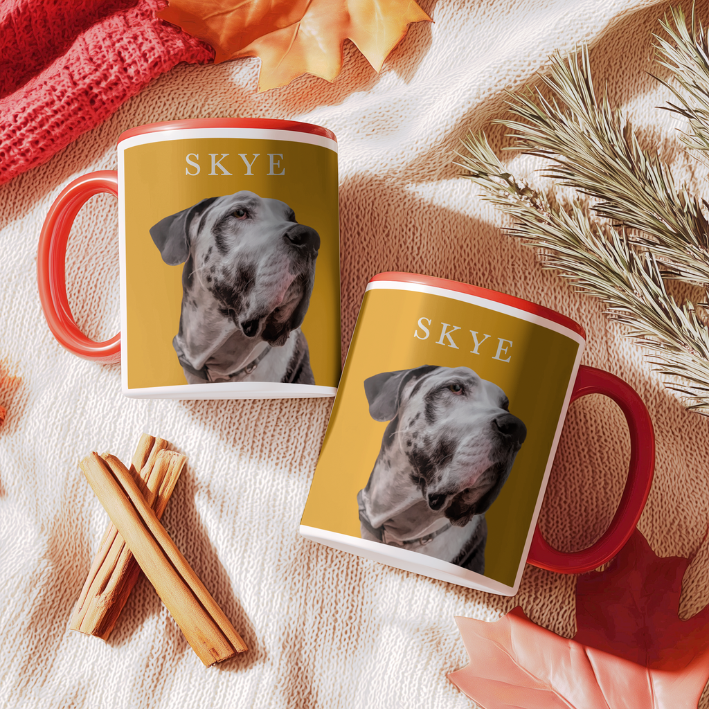 CLASSIC MUG