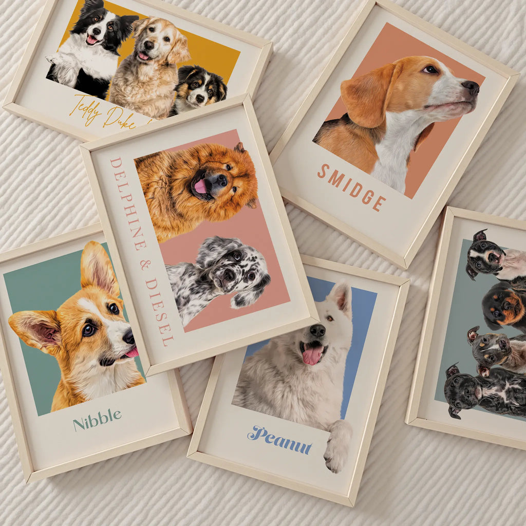 POLAROID Paint and Tail