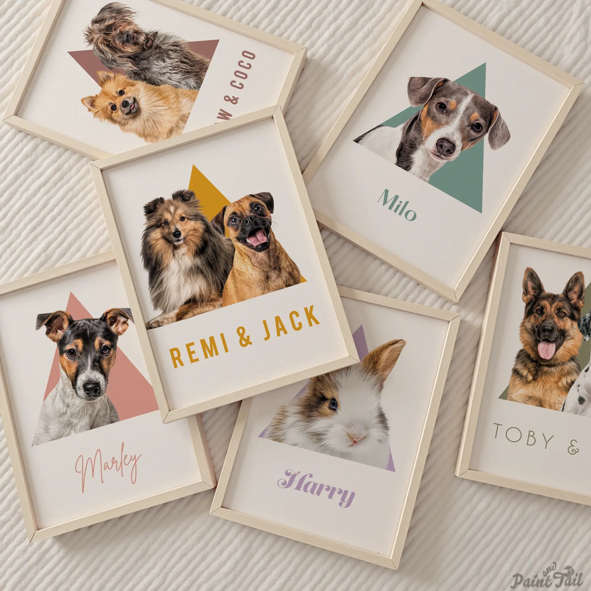 TRIGON CUTOUT Paint and Tail