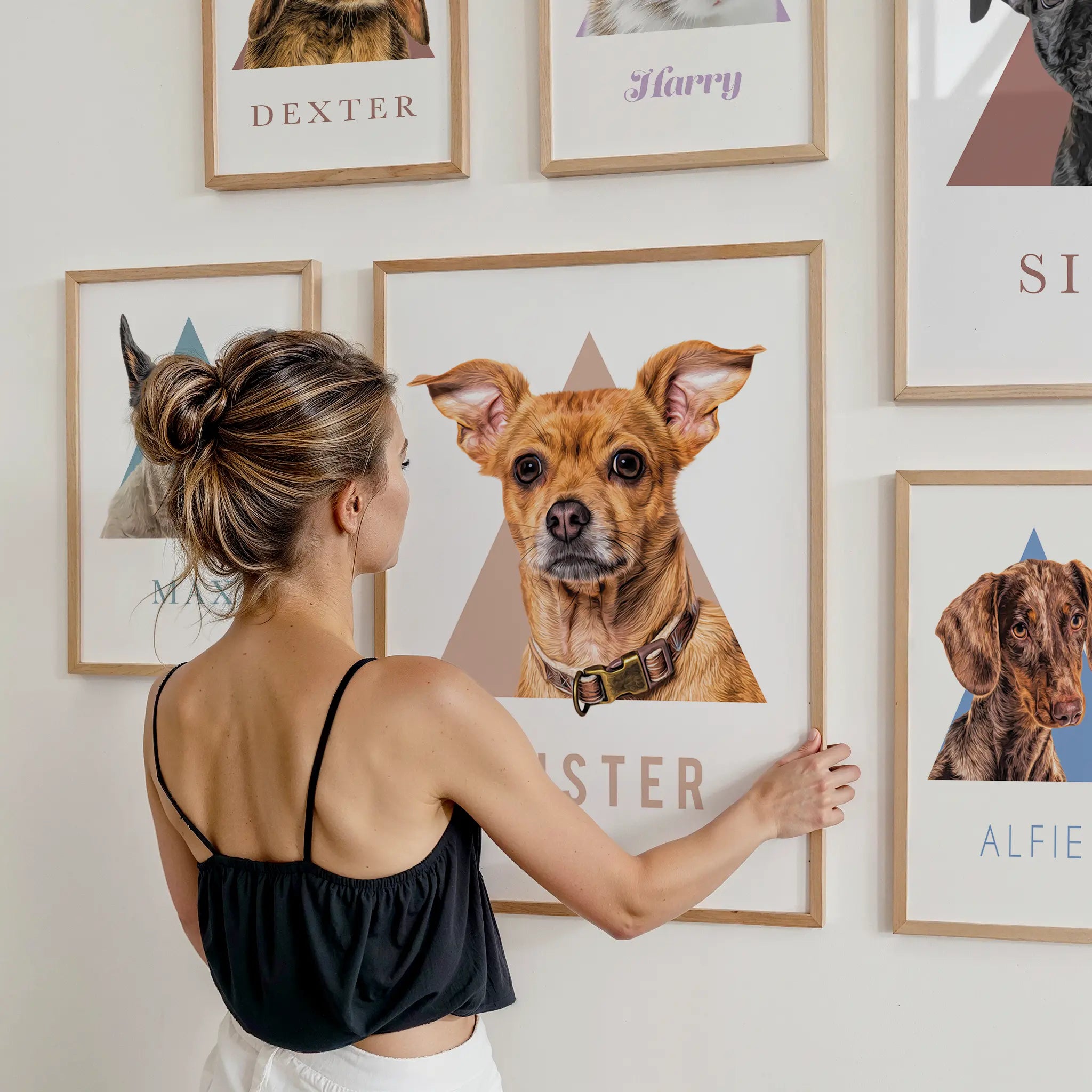 TRIGON CUTOUT Paint and Tail