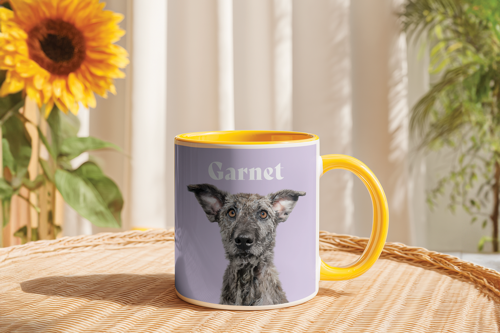 CLASSIC MUG
