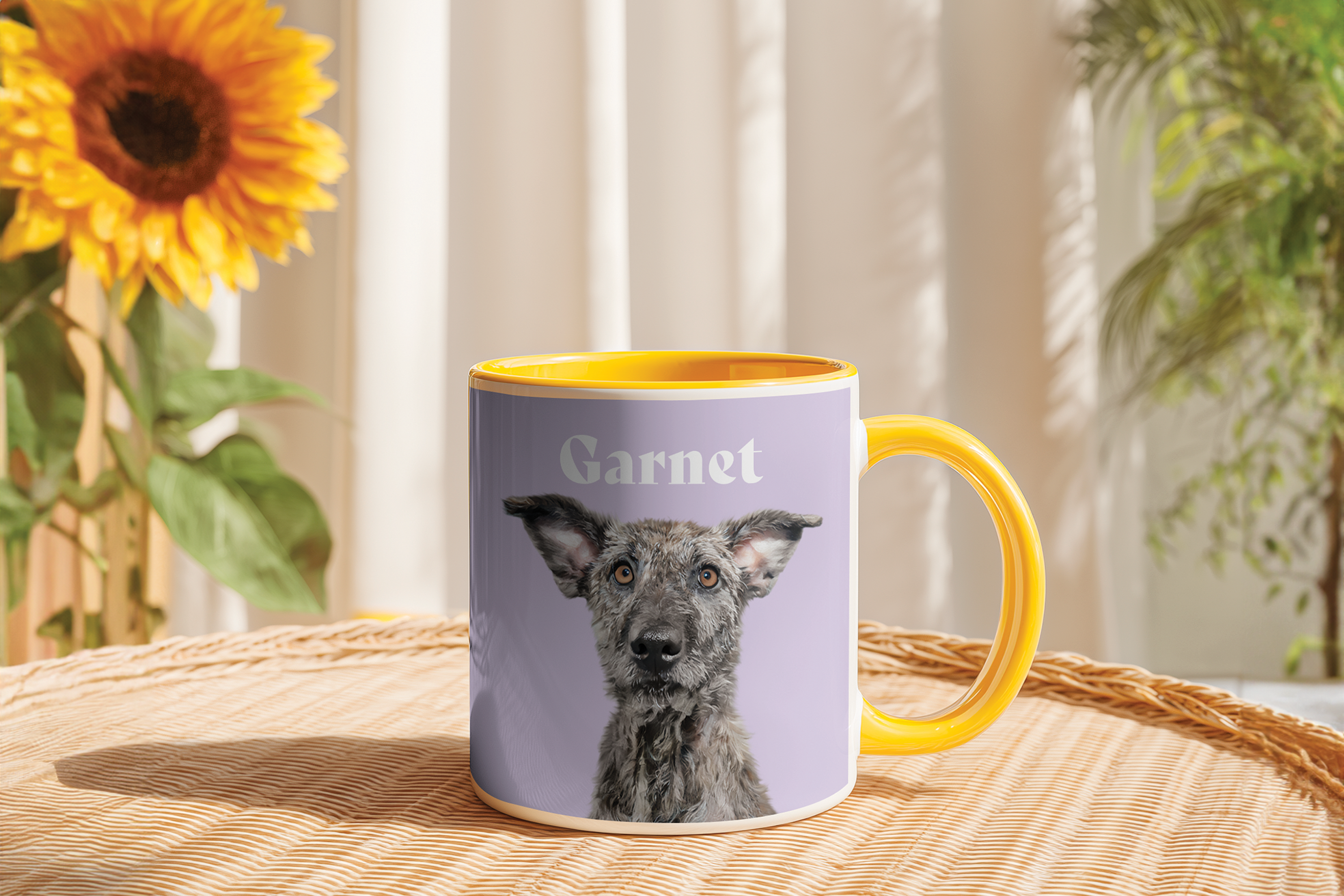 CLASSIC MUG